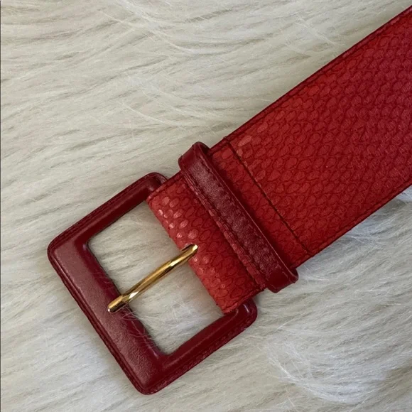 Christian Dior Vibrant Red Textured Aniline Cowhide Leather Belt Size L - Picture 5 of 14